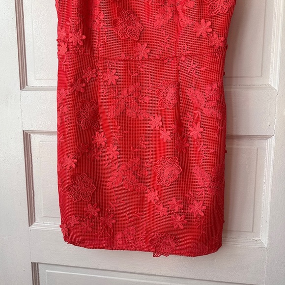 Romeo & Juliet Couture Floral Lace Mini Sheath Dress Cotton Vibrant Coral Large - Picture 6 of 15